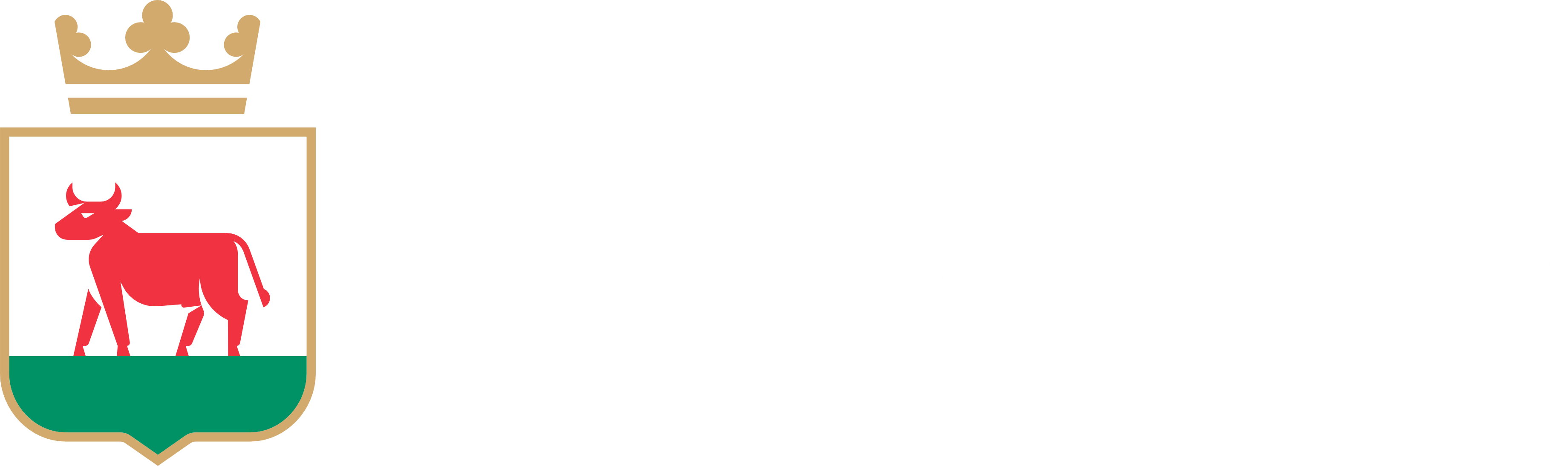 Urząd Miasta Trzcianka